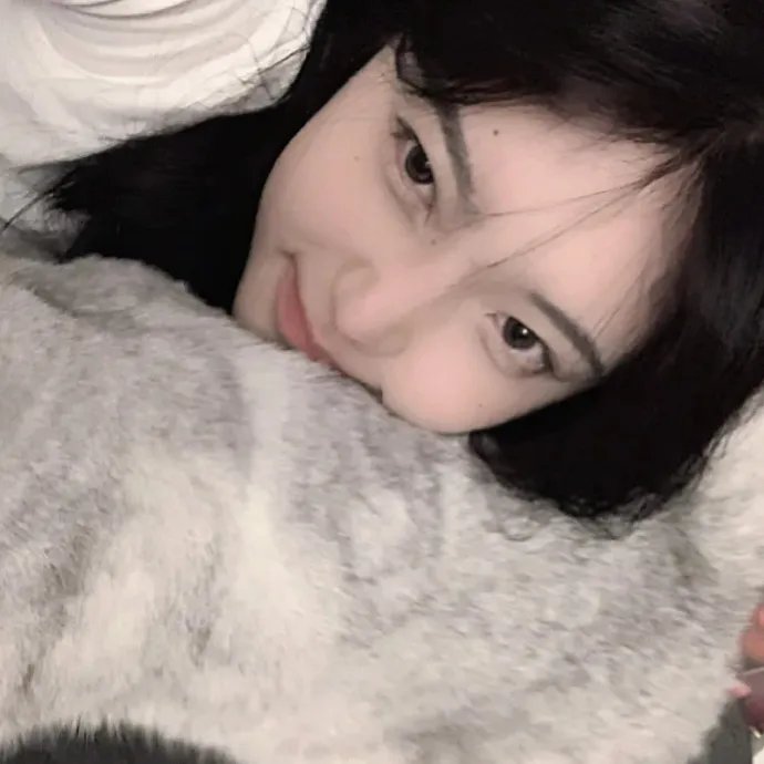 新大头儿子和小头爸爸之秘密计划